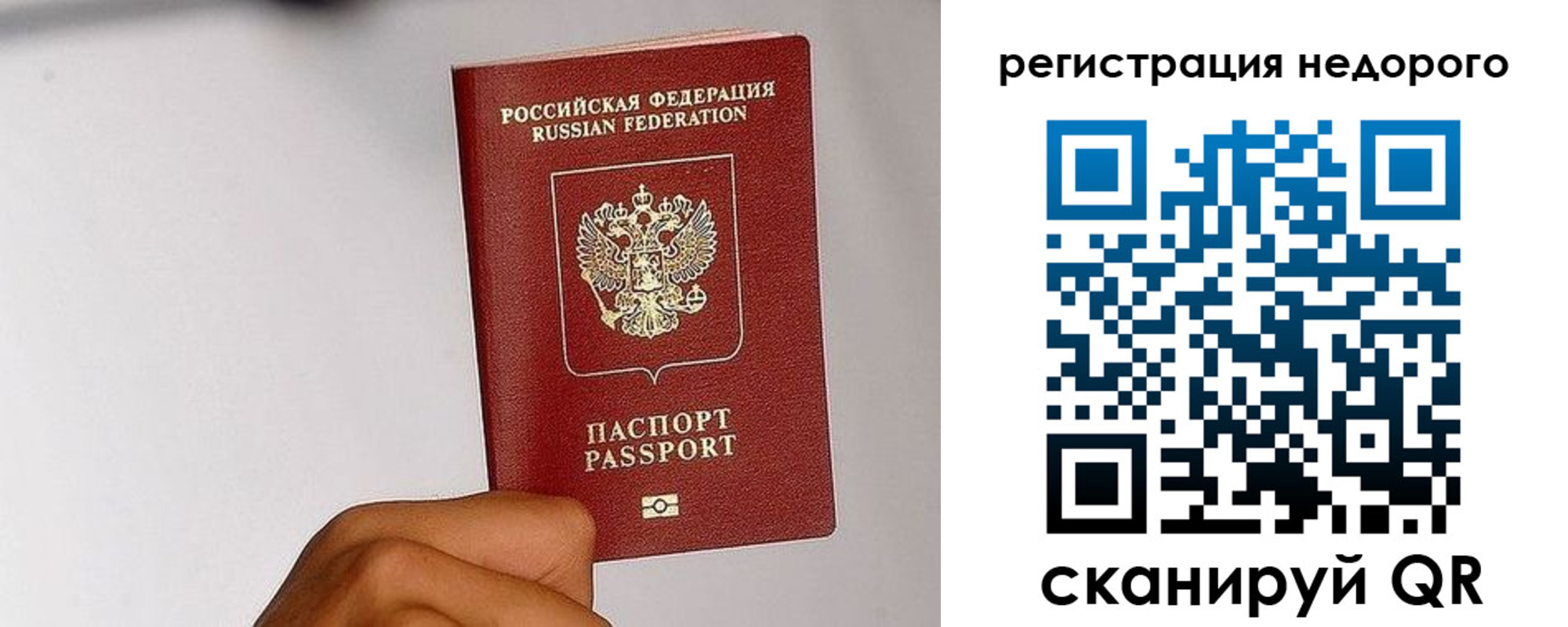 прописка 2025 в Лосино-Петровском